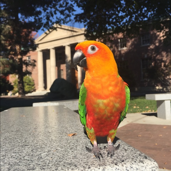 Meet your Poshers, Tara & Pete - Picture 2 of 8